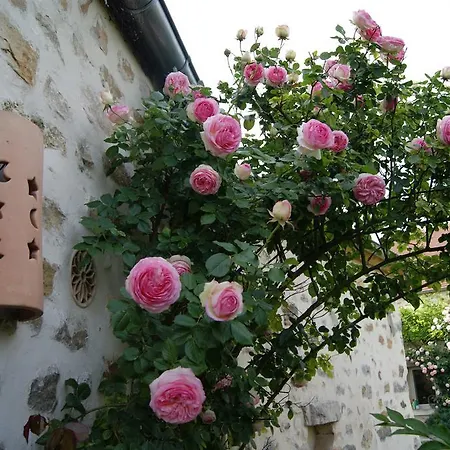 De Cilia Ferienhaus *